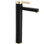 BATERIE LAVOAR POLO BLACK GOLD HIGH