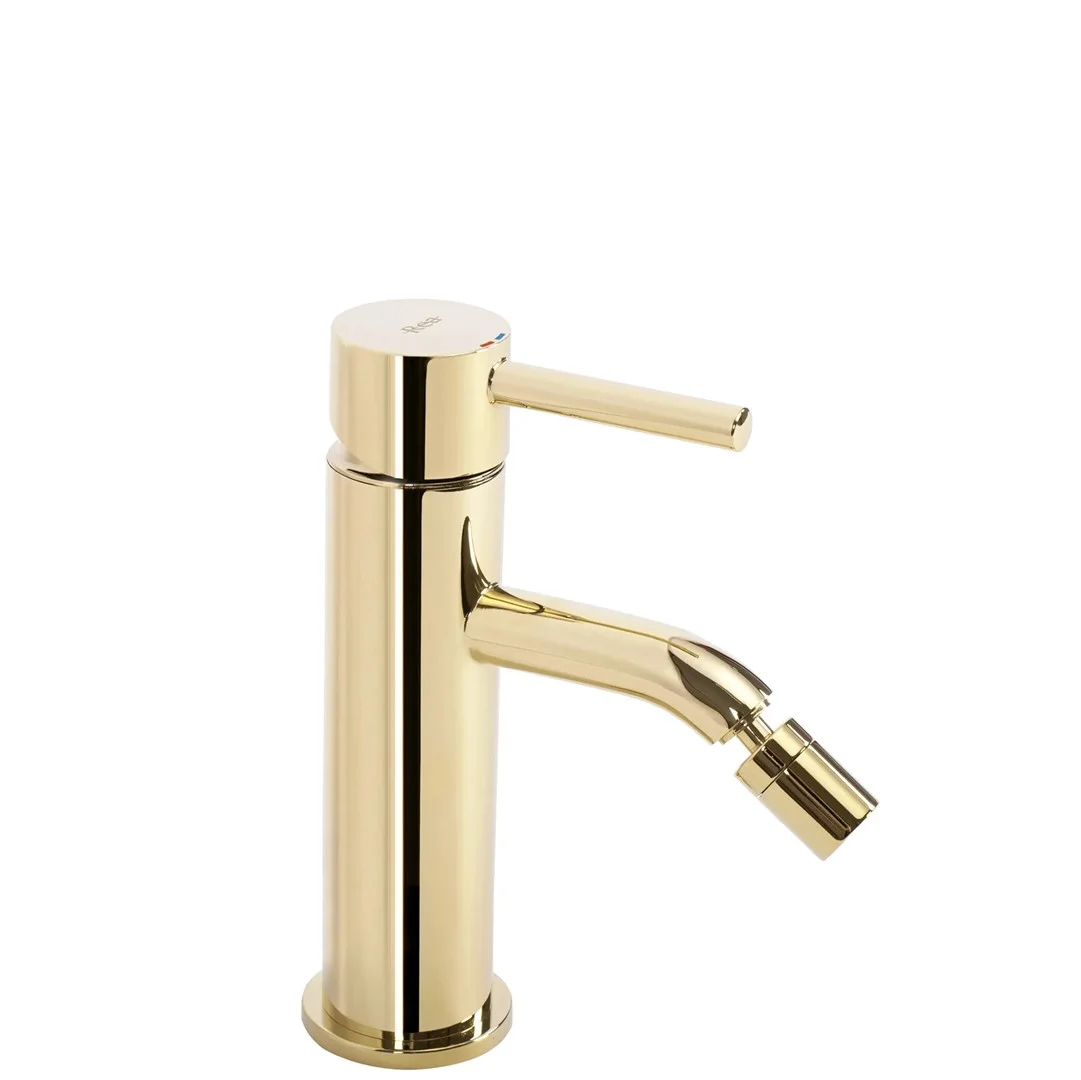 BATERIE PENTRU BIDEU LUNGO GOLD — 1 BATERIE PENTRU BIDEU LUNGO GOLD
