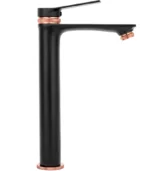 BATERIE LAVOAR VIRAL NEGRU GOLD ROSE HIGH