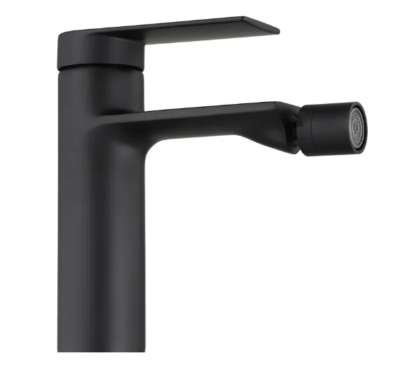 BATERIE PENTRU BIDEU STORM BLACK