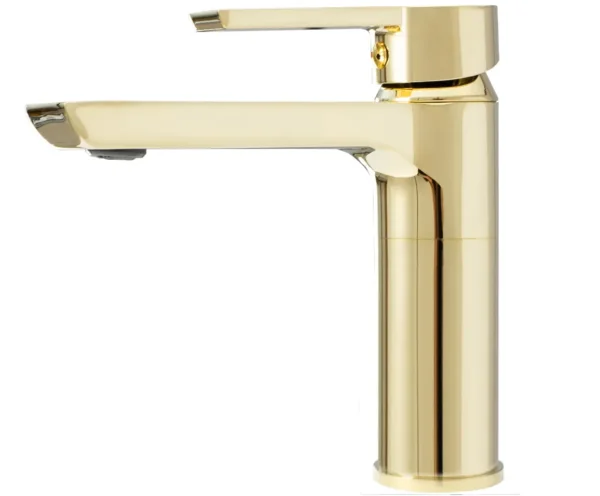 BATERIE LAVOAR ARGUS GOLD LOW
