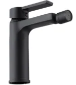 BATERIE PENTRU BIDEU ARGUS BLACK