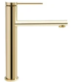 BATERIE LAVOAR OVAL GOLD HIGH