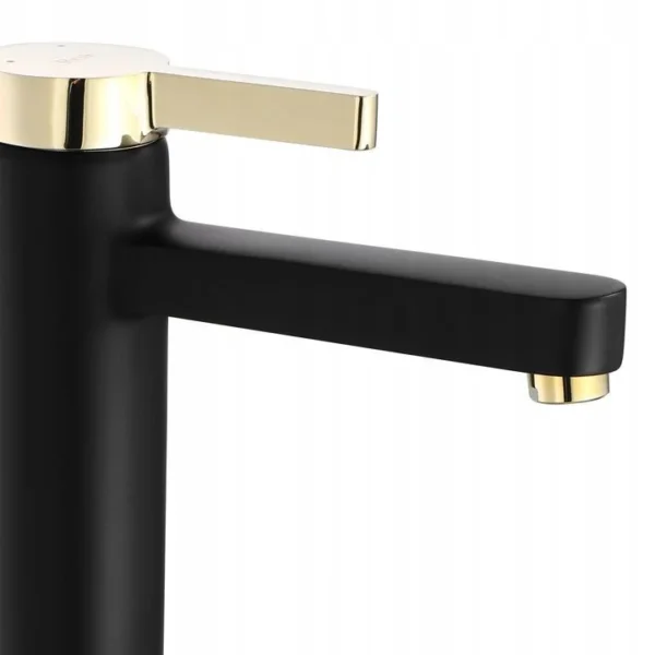 BATERIE LAVOAR POLO BLACK GOLD HIGH