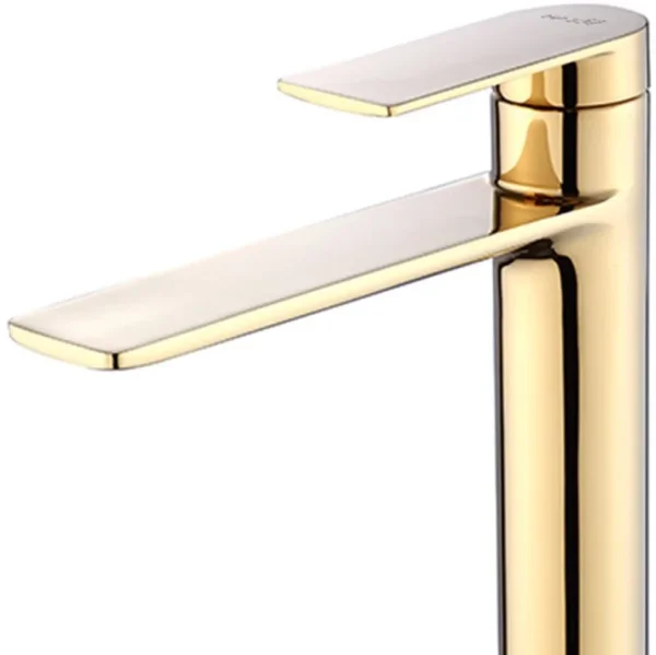 BATERIE LAVOAR STORM GOLD LOW