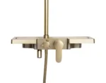 COLOANA DE DUȘ BRAVO GOLD BRUSH