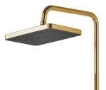 COLOANA DE DUȘ HELIX GOLD